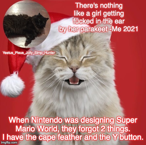 Christmas Template | When Nintendo was designing Super Mario World, they forgot 2 things. I have the cape feather and the Y button. | image tagged in christmas template | made w/ Imgflip meme maker