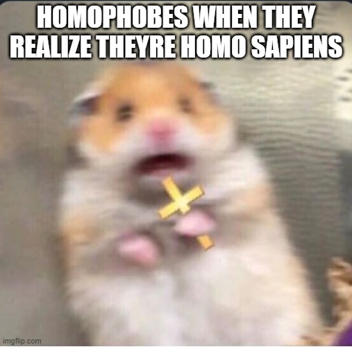 Image Title | HOMOPHOBES WHEN THEY REALIZE THEYRE HOMO SAPIENS | image tagged in shook christian hamster | made w/ Imgflip meme maker
