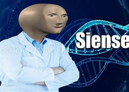 S I E N S E Blank Meme Template