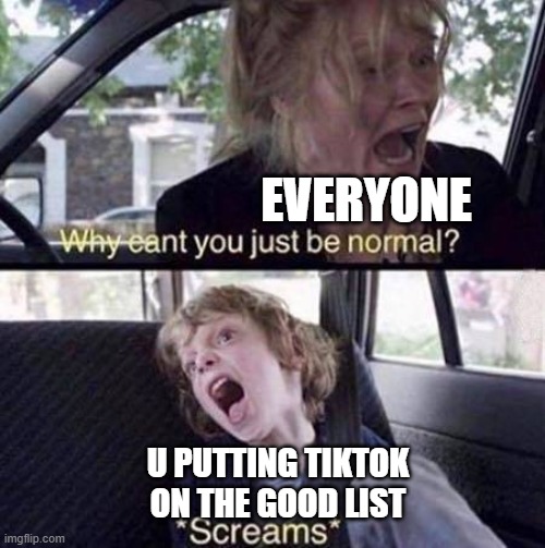 Why Can't You Just Be Normal | EVERYONE U PUTTING TIKTOK ON THE GOOD LIST | image tagged in why can't you just be normal | made w/ Imgflip meme maker