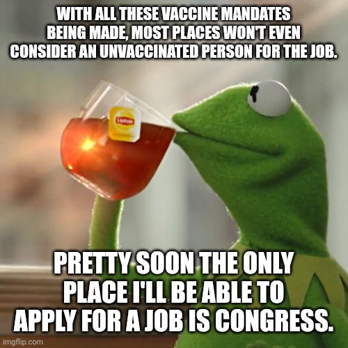But That's None Of My Business | WITH ALL THESE VACCINE MANDATES BEING MADE, MOST PLACES WON'T EVEN CONSIDER AN UNVACCINATED PERSON FOR THE JOB. PRETTY SOON THE ONLY PLACE I'LL BE ABLE TO APPLY FOR A JOB IS CONGRESS. | image tagged in memes,but that's none of my business,kermit the frog,vaccine,covid vaccine,congress | made w/ Imgflip meme maker