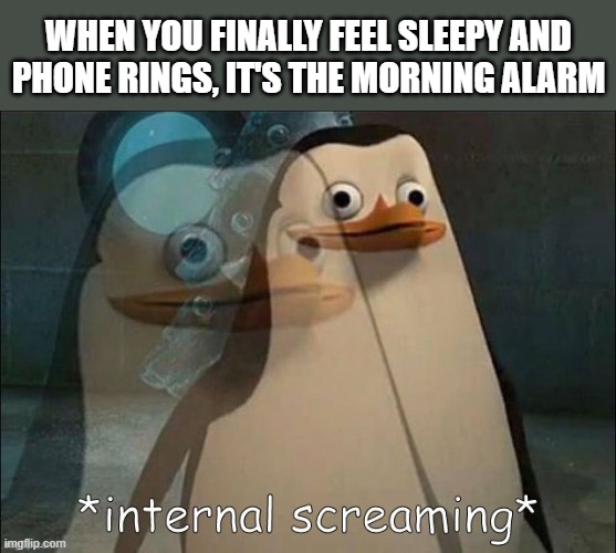 Mondays be like | WHEN YOU FINALLY FEEL SLEEPY AND
PHONE RINGS, IT'S THE MORNING ALARM | image tagged in private internal screaming | made w/ Imgflip meme maker
