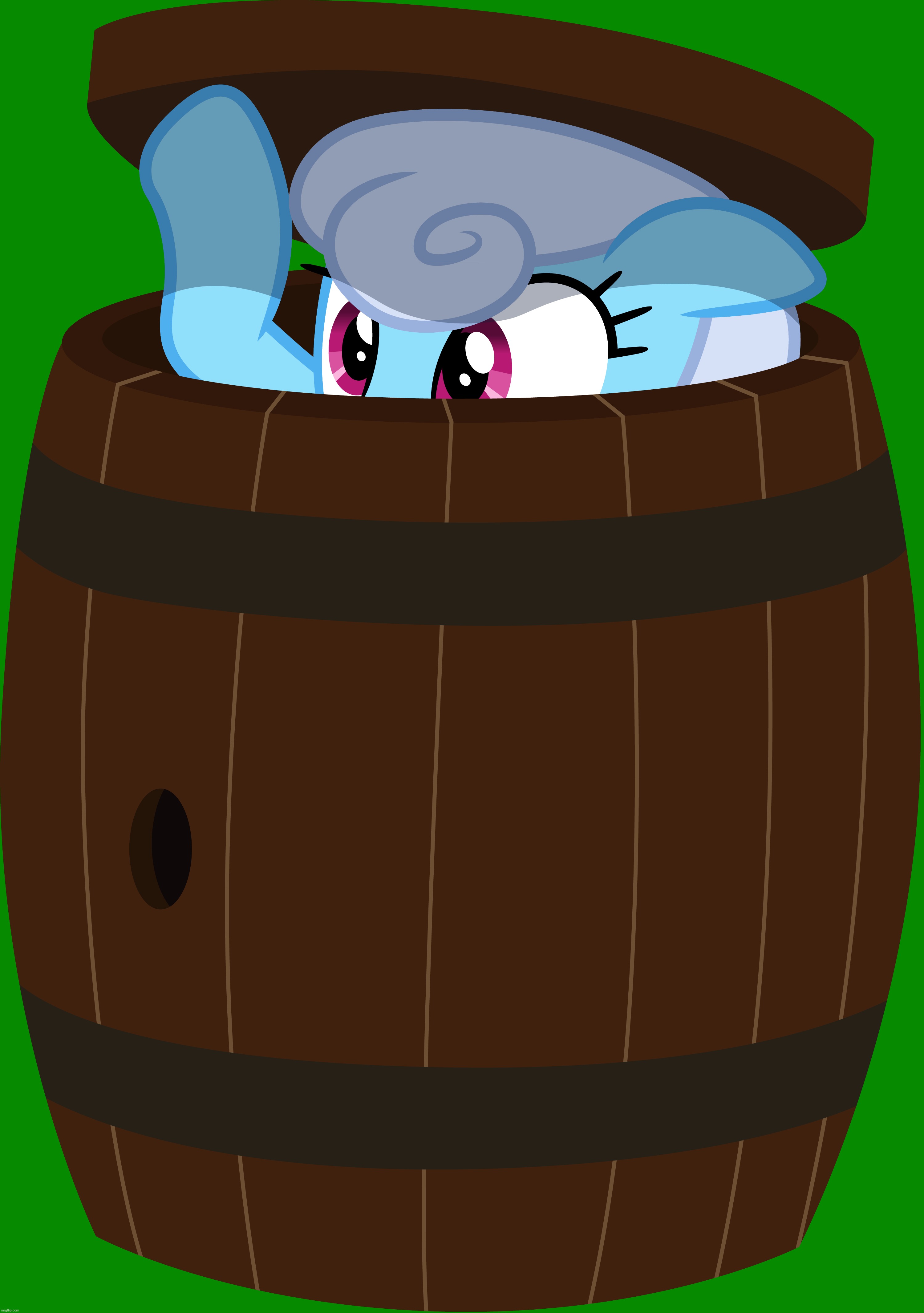 shoeshine/linky in the barrel | image tagged in my little pony friendship is magic,barrel | made w/ Imgflip meme maker