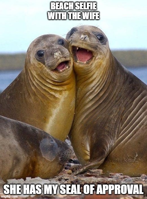 Seal of Approval | BEACH SELFIE WITH THE WIFE; SHE HAS MY SEAL OF APPROVAL | image tagged in seal,selfie,beach with wife,love | made w/ Imgflip meme maker