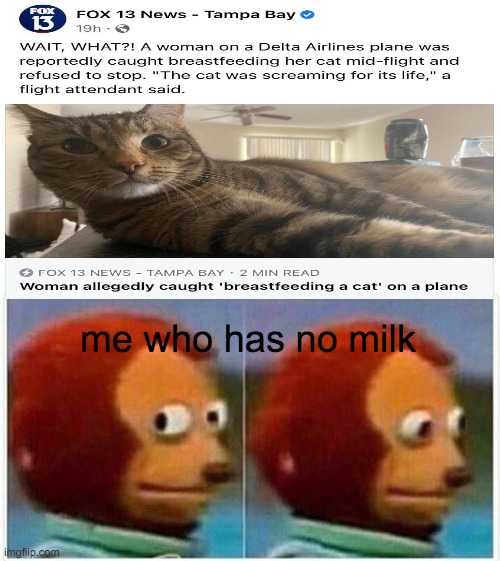 catmilk | me who has no milk | image tagged in memes,monkey puppet | made w/ Imgflip meme maker