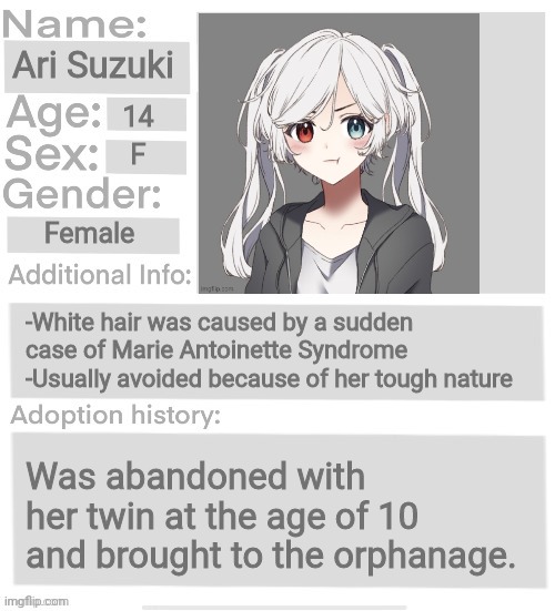 Orphanage faction file | Ari Suzuki; 14; F; Female; -White hair was caused by a sudden case of Marie Antoinette Syndrome
-Usually avoided because of her tough nature; Was abandoned with her twin at the age of 10 and brought to the orphanage. | image tagged in orphanage faction file | made w/ Imgflip meme maker