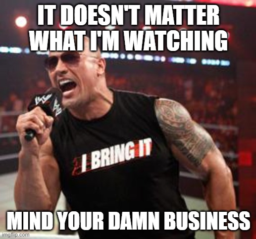 The Rock It Doesn't Matter | IT DOESN'T MATTER WHAT I'M WATCHING MIND YOUR DAMN BUSINESS | image tagged in the rock it doesn't matter | made w/ Imgflip meme maker