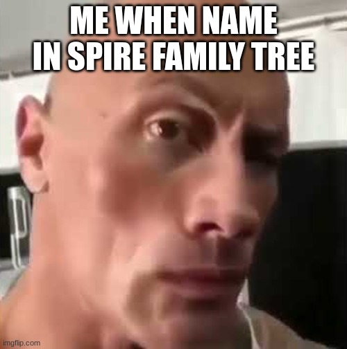 the j?///??/?? | ME WHEN NAME IN SPIRE FAMILY TREE | made w/ Imgflip meme maker