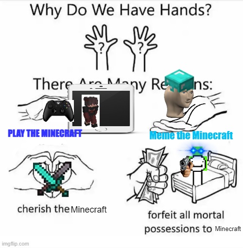 Why do we have hands? (all blank) | PLAY THE MINECRAFT; Meme the Minecraft; Minecraft; Minecraft | image tagged in why do we have hands all blank | made w/ Imgflip meme maker