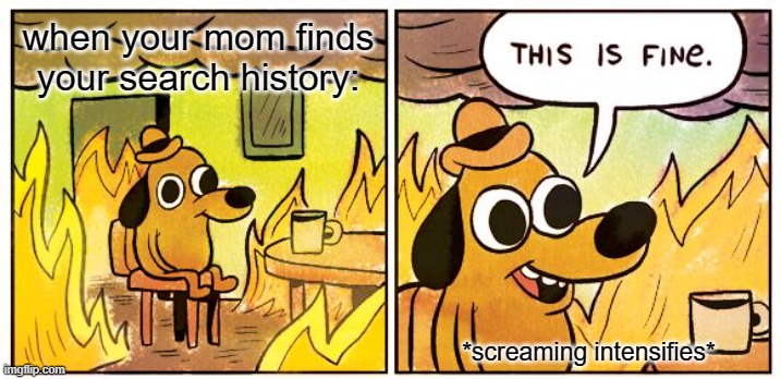 oh no not this again |  when your mom finds your search history:; *screaming intensifies* | image tagged in memes,this is fine,lmao,search history | made w/ Imgflip meme maker