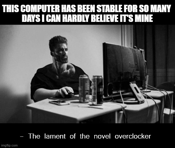 Yeah, I'm supposed to hard lock way more often than this. | THIS COMPUTER HAS BEEN STABLE FOR SO MANY 
DAYS I CAN HARDLY BELIEVE IT'S MINE; - The lament of the novel overclocker | image tagged in gigachad on the computer,memes,overclocking,stability | made w/ Imgflip meme maker