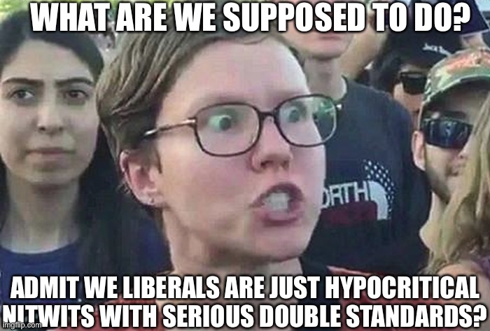 Triggered Liberal | WHAT ARE WE SUPPOSED TO DO? ADMIT WE LIBERALS ARE JUST HYPOCRITICAL NITWITS WITH SERIOUS DOUBLE STANDARDS? | image tagged in triggered liberal | made w/ Imgflip meme maker