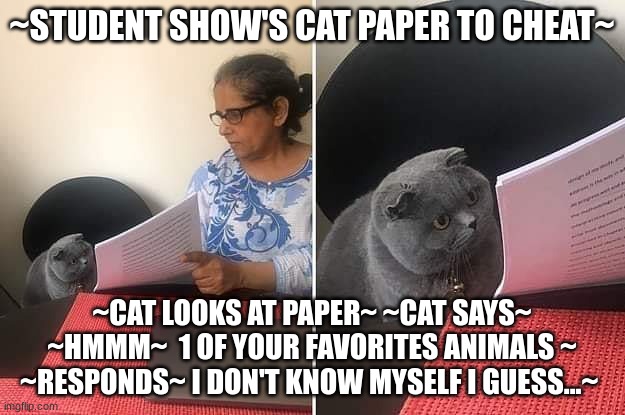 Woman showing paper to cat | ~STUDENT SHOW'S CAT PAPER TO CHEAT~; ~CAT LOOKS AT PAPER~ ~CAT SAYS~ ~HMMM~  1 OF YOUR FAVORITES ANIMALS ~ ~RESPONDS~ I DON'T KNOW MYSELF I GUESS...~ | image tagged in woman showing paper to cat | made w/ Imgflip meme maker