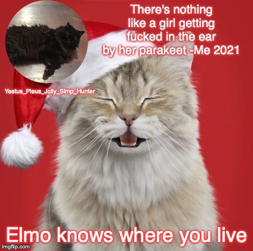 Christmas Template | Elmo knows where you live | image tagged in christmas template | made w/ Imgflip meme maker