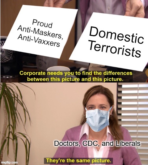 Anti-Vaxxers and Anti-Maskers are Domestic Terrorists | image tagged in they're the same picture,anti-vaxxers,anti-maskers,domestic terrorists,covid-19 | made w/ Imgflip meme maker