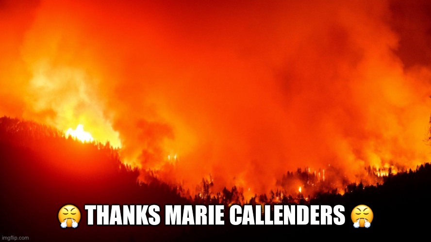 Marie Callenders | 😤 THANKS MARIE CALLENDERS 😤 | image tagged in funny | made w/ Imgflip meme maker