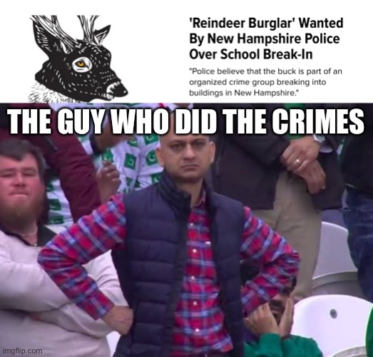 This is real lol | THE GUY WHO DID THE CRIMES | image tagged in disappointed man | made w/ Imgflip meme maker
