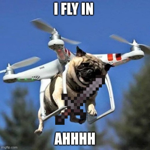 Flying Pug |  I FLY IN; AHHHH | image tagged in flying pug | made w/ Imgflip meme maker