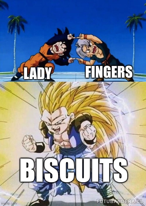 DBZ FUSION | FINGERS; LADY; BISCUITS | image tagged in dbz fusion | made w/ Imgflip meme maker