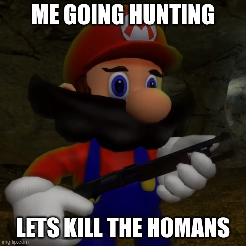 Mario with Shotgun | ME GOING HUNTING; LETS KILL THE HOMANS | image tagged in mario with shotgun | made w/ Imgflip meme maker