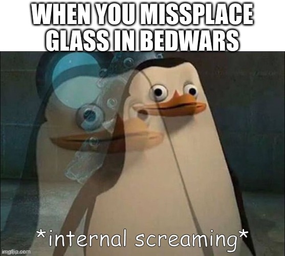 Private Internal Screaming | WHEN YOU MISSPLACE GLASS IN BEDWARS | image tagged in private internal screaming,gaming | made w/ Imgflip meme maker