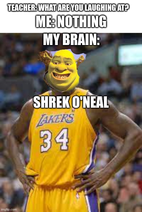 Yes | TEACHER: WHAT ARE YOU LAUGHING AT? MY BRAIN:; ME: NOTHING; SHREK O'NEAL | image tagged in blank white template | made w/ Imgflip meme maker