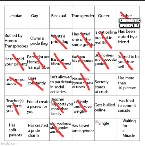 no comment plz | BIROMANTIC DEMISEXUAL | image tagged in lgbtqia bingo | made w/ Imgflip meme maker