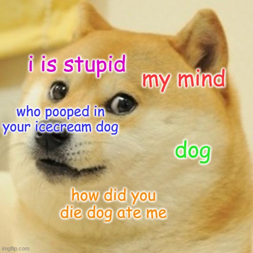 Doge Meme | i is stupid; my mind; who pooped in your icecream dog; dog; how did you die dog ate me | image tagged in memes,doge | made w/ Imgflip meme maker