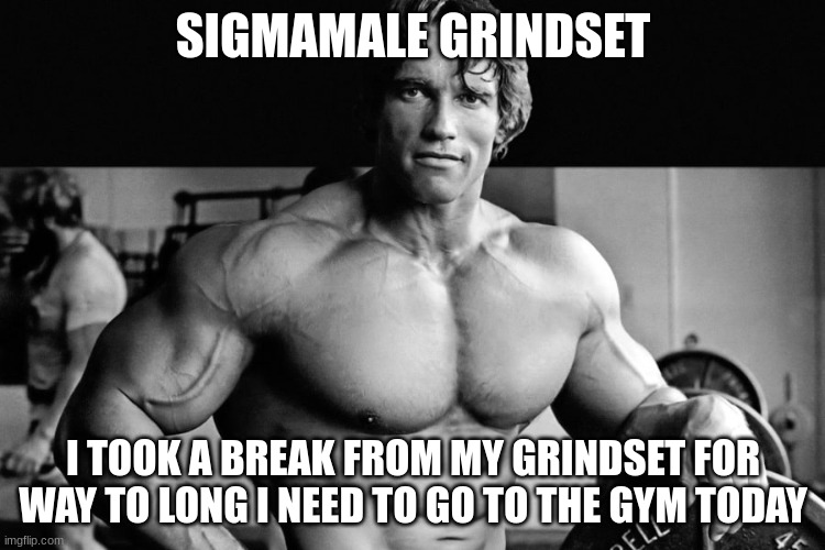 time to work on my core and arms | SIGMAMALE GRINDSET; I TOOK A BREAK FROM MY GRINDSET FOR WAY TO LONG I NEED TO GO TO THE GYM TODAY | made w/ Imgflip meme maker