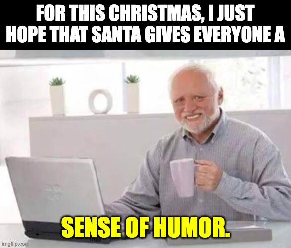 There seems to be a scarcity of humor | FOR THIS CHRISTMAS, I JUST HOPE THAT SANTA GIVES EVERYONE A; SENSE OF HUMOR. | image tagged in harold | made w/ Imgflip meme maker