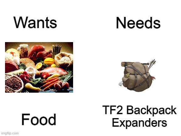 Backpack epxanders are the best thing in tf2 | Needs; Wants; Food; TF2 Backpack Expanders | image tagged in tf2,team fortress 2,backpack,food,need,want | made w/ Imgflip meme maker