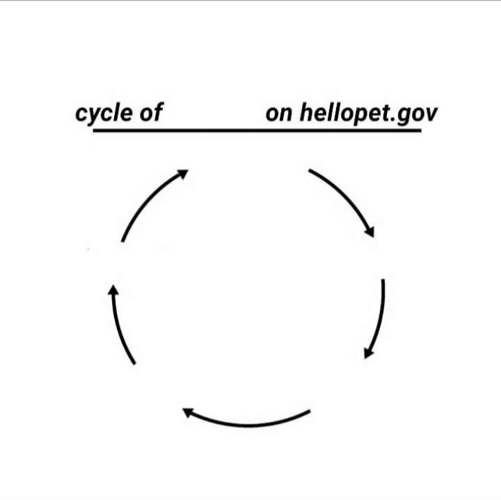 Cycle of [blank] on hellopet.gov Blank Meme Template