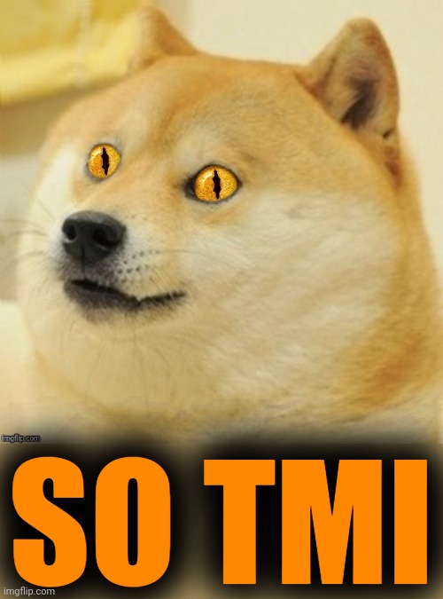 Doge Snake Eyes | SO TMI | image tagged in doge snake eyes | made w/ Imgflip meme maker