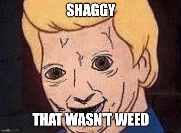 Shaggy this isnt weed fred scooby doo | SHAGGY THAT WASN'T WEED | image tagged in shaggy this isnt weed fred scooby doo | made w/ Imgflip meme maker