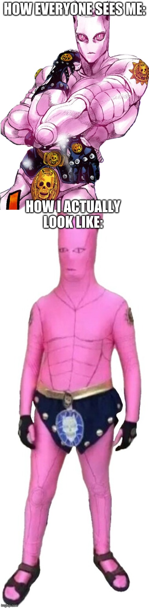 HOW EVERYONE SEES ME:; HOW I ACTUALLY LOOK LIKE: | made w/ Imgflip meme maker