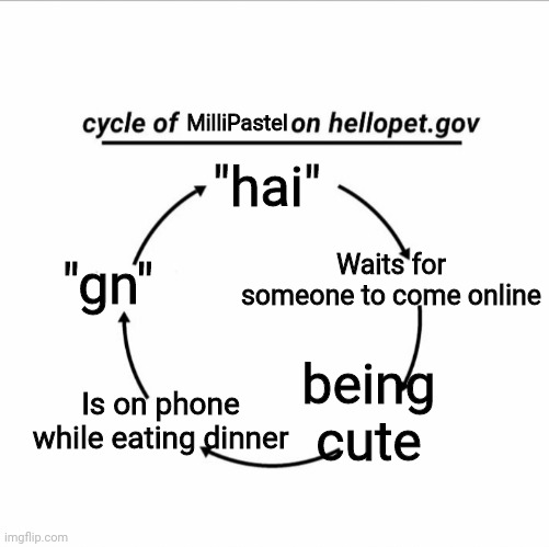 Cycle of MilliPastel on hellopet.gov | MilliPastel; "hai"; "gn"; Waits for someone to come online; being cute; Is on phone while eating dinner | image tagged in cycle of blank on hellopet gov | made w/ Imgflip meme maker