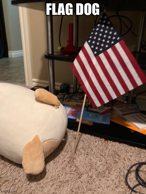 Flag dog | FLAG DOG | image tagged in woof | made w/ Imgflip meme maker