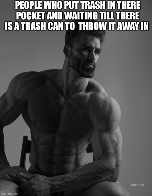 Giga Chad | PEOPLE WHO PUT TRASH IN THERE POCKET AND WAITING TILL THERE IS A TRASH CAN TO  THROW IT AWAY IN | image tagged in giga chad | made w/ Imgflip meme maker