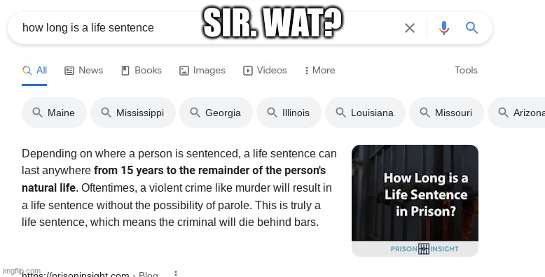 SIR. WAT? | image tagged in google search,wtf | made w/ Imgflip meme maker