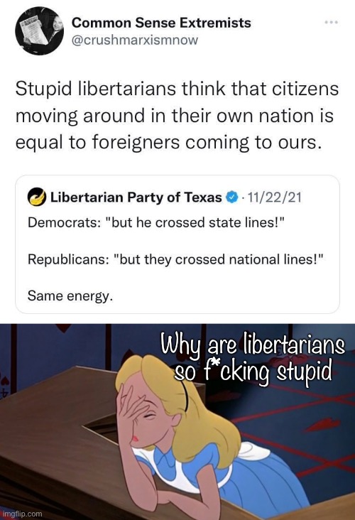 Libertarians are just liberals that don’t want to pay taxes | Why are libertarians so f*cking stupid | image tagged in alice in wonderland face palm facepalm,stupid libertarians,libertarianism,cringe,splish splash your opinion is trash | made w/ Imgflip meme maker