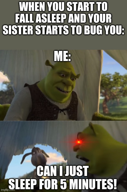 Relatable? | WHEN YOU START TO FALL ASLEEP AND YOUR SISTER STARTS TO BUG YOU:; ME:; CAN I JUST SLEEP FOR 5 MINUTES! | image tagged in shrek for 5 mins,relatable,funny memes,shrek | made w/ Imgflip meme maker