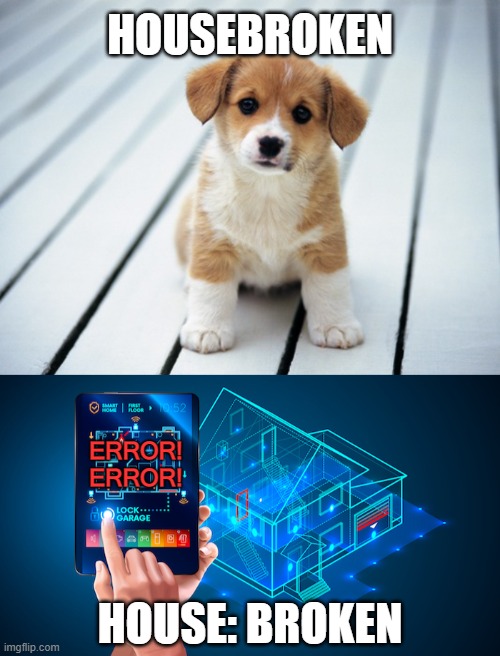 Good luck getting all that smart home stuff to work together for more than a minute. | HOUSEBROKEN; ERROR!
ERROR! HOUSE: BROKEN | image tagged in cute puppy 1,memes,smart home,housebroken,technology | made w/ Imgflip meme maker