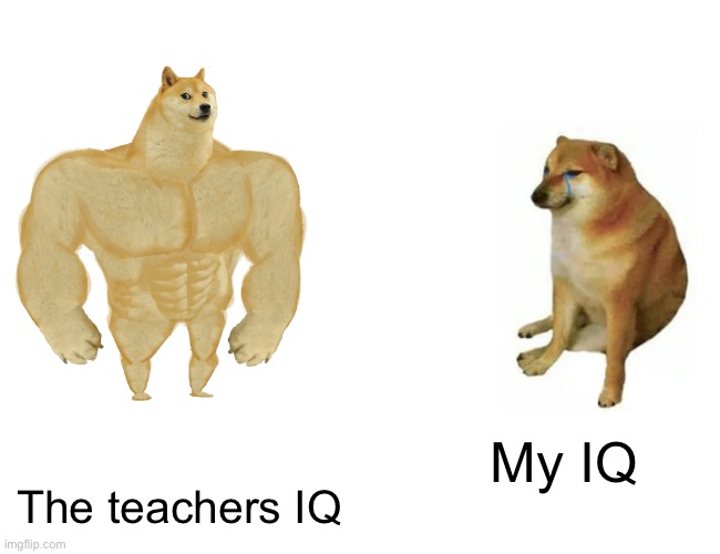 Buff Doge vs. Cheems | My IQ; The teachers IQ | image tagged in memes,buff doge vs cheems | made w/ Imgflip meme maker
