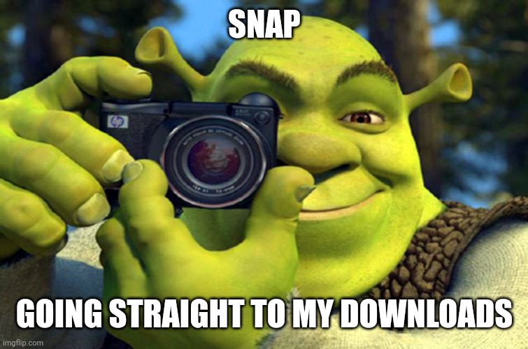 shrek camera | SNAP GOING STRAIGHT TO MY DOWNLOADS | image tagged in shrek camera | made w/ Imgflip meme maker