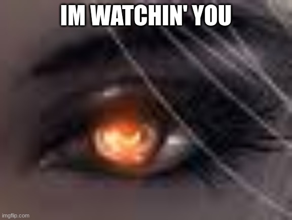 IM WATCHIN' YOU | image tagged in lol | made w/ Imgflip meme maker