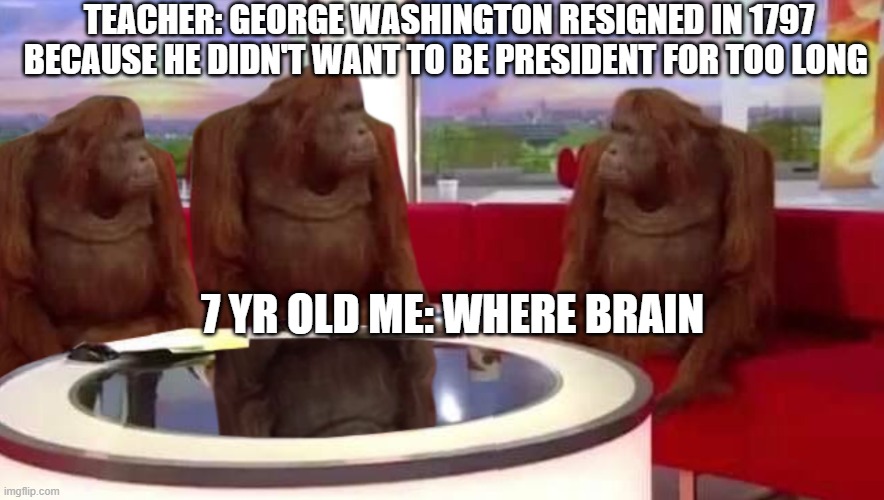 where monkey | TEACHER: GEORGE WASHINGTON RESIGNED IN 1797 BECAUSE HE DIDN'T WANT TO BE PRESIDENT FOR TOO LONG; 7 YR OLD ME: WHERE BRAIN | image tagged in where monkey | made w/ Imgflip meme maker