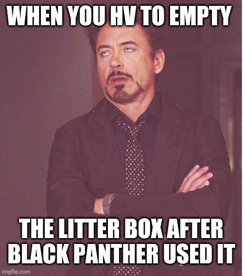 Face You Make Robert Downey Jr |  WHEN YOU HV TO EMPTY; THE LITTER BOX AFTER BLACK PANTHER USED IT | image tagged in memes,face you make robert downey jr | made w/ Imgflip meme maker