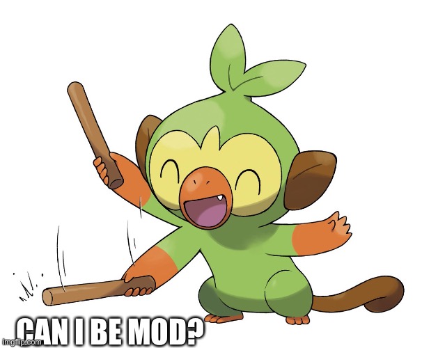 Plz | CAN I BE MOD? | made w/ Imgflip meme maker
