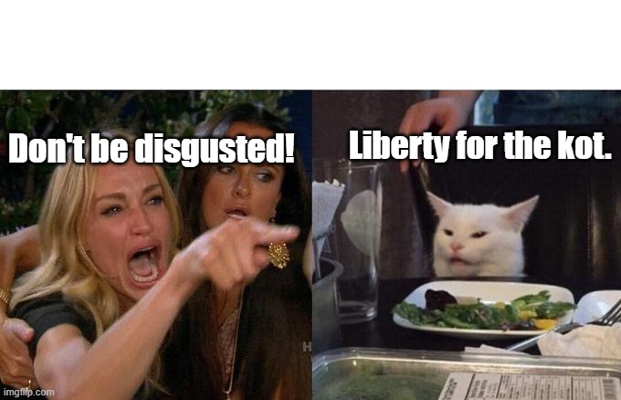 Liberty and justice for kot | Liberty for the kot. Don't be disgusted! | image tagged in memes,woman yelling at cat | made w/ Imgflip meme maker
