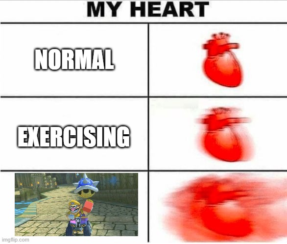 heartbeat | NORMAL; EXERCISING | image tagged in heartbeat | made w/ Imgflip meme maker